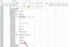 如何在Microsoft Excel 2016中隐藏指定列