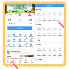 12306宠物托运需要什么手续