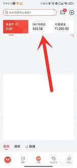 如何查询自己名下的京东白条