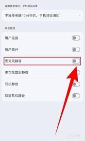 kook如何取消麦克风静音