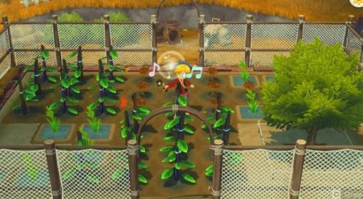 《牧场物语风之集市》各季节最佳作物一览