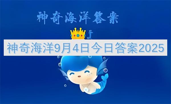 神奇海洋9月4日今日答案2025