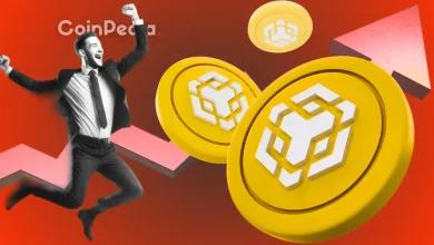 BNB 飙升至新高：下一个目标会是 1,000 美元还是即将达到 900 美元？