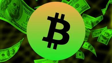 美联储降息后，比特币和以太坊可能出现“巨幅波动”