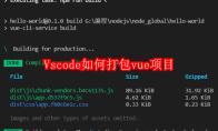 Vscode如何打包vue项目