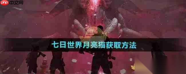 《七日世界》攻略——月亮猫获取方法