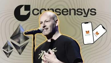 ConsenSys 首席执行官表示，MetaMask 将比预期更早推出其代币