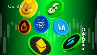 加密货币市场崩盘，鲸鱼们正在购买的三大山寨币