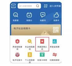 河北人社app如何确认待遇资格认证已完成