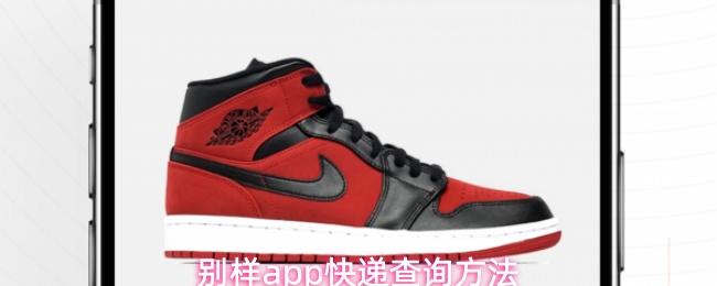 别样app快递查询方法