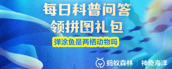 弹涂鱼是两栖动物吗