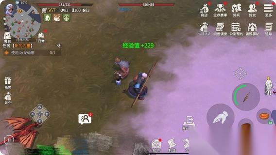 冰原守卫者自动战斗在哪里点