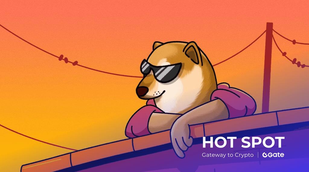 Cheems 单日暴涨超 56%！迷因币的逆袭与风险全解析