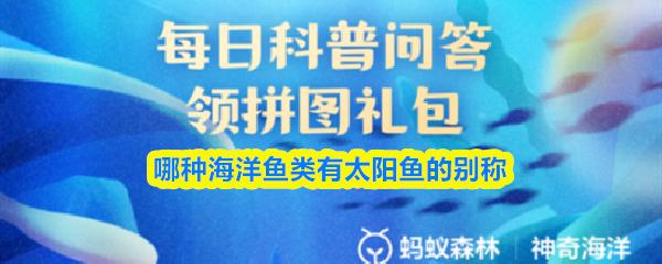 哪种海洋鱼类有太阳鱼的别称