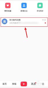 小红书消息已读能不能关闭