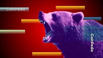 加密货币熊市来临 鲸鱼做空，恐慌加剧