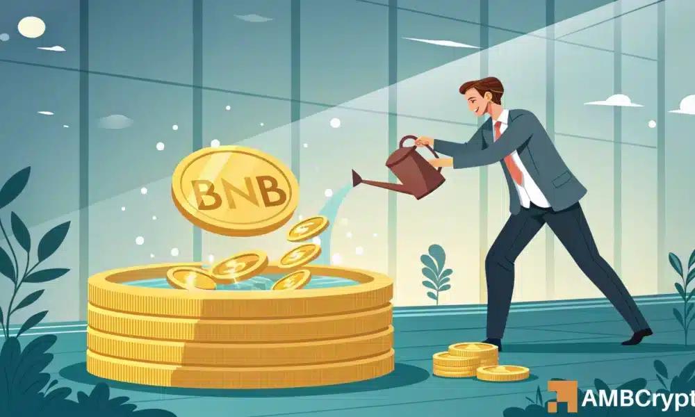 BNB 的链上脉搏复苏：代币销毁会改写其价格走势吗
