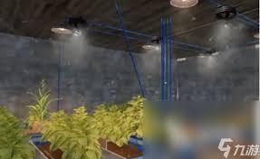 失控进化种植建造玩法攻略