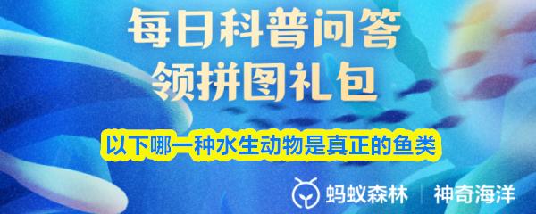 以下哪一种水生动物是真正的鱼类