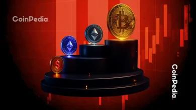 十一月能否引发加密货币复苏 值得关注的关键催化剂