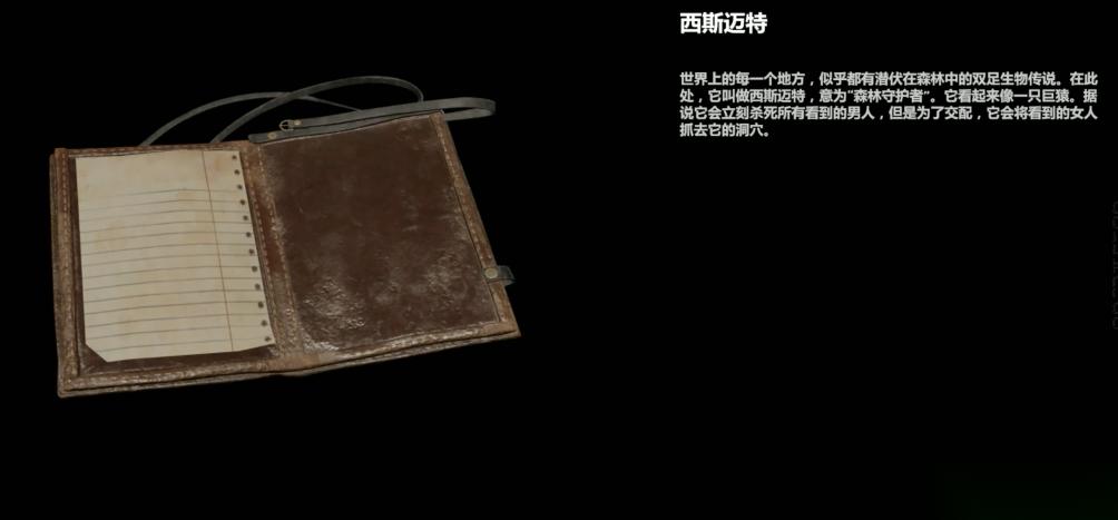 古墓丽影秘鲁丛林文献怎么过