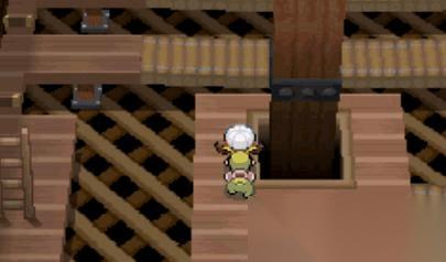 在口袋妖怪新银叶地区应该怎么走