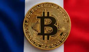 法国计划建立欧洲首个国家比特币储备，规模达 42 万 BTC