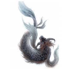 山海进化录鳙鳙鱼在哪