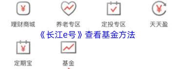 长江e号如何查看基金