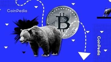 比特币价格分析：牛市行情是否正在失去动力，还是即将迎来大幅反弹