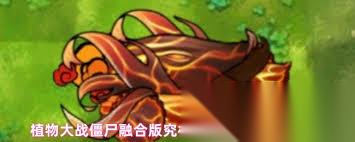 植物大战僵尸融合版究极爆焱猫尾草厉害吗