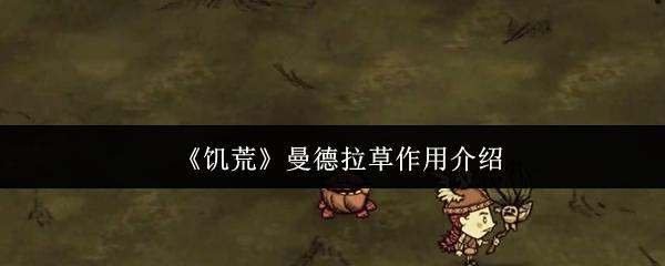 饥荒 曼德拉草作用介绍