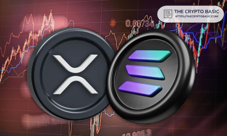 Helius CEO 表示，如果 Solana 不让 XRP 价格暴跌，他将用削铅笔器剃光头。