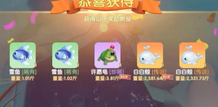 摩尔庄园鲸鱼介绍