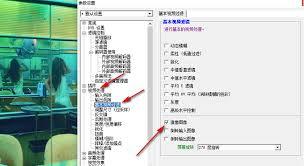 如何开启KMPlayer视频镜像