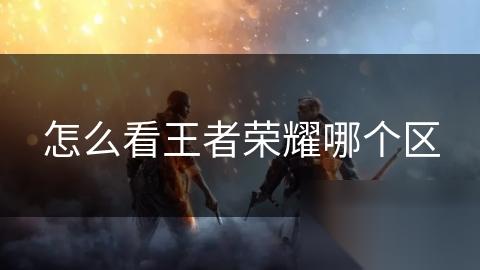 怎么看王者荣耀哪个区