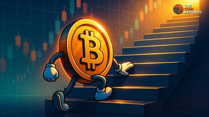 比特币价格感恩节上涨：比特币今日上涨的主要原因