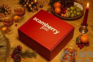 Ripple 发起假日反诈骗活动，打击假日诈骗，保护 XRP 持有者权益