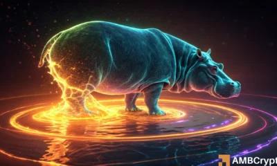 受河马死亡谣言影响，穆登股价飙升 250%，随后又回落——接下来会发生什么