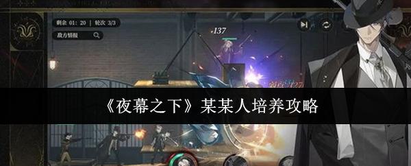 夜幕之下 某某人培养攻略