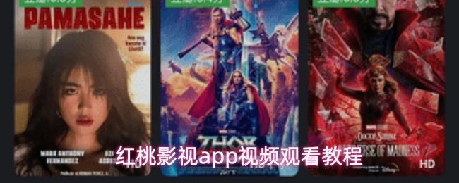 红桃影视app视频观看教程