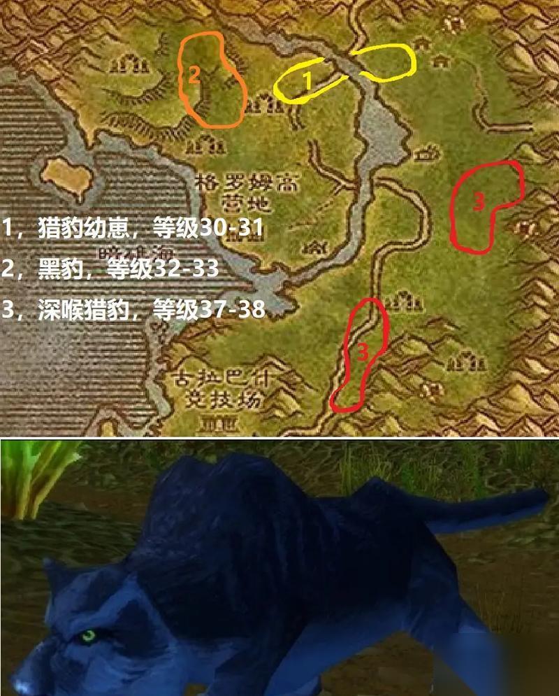 魔兽硬核秃鹫怎么捕捉 抓取地点在哪里