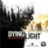 消逝的光芒怎么联机 消逝的光芒(萌新)联机教程详细步骤