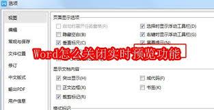 如何在Word中关闭实时预览功能