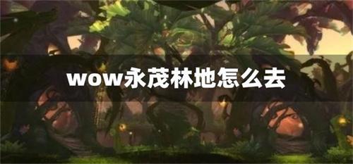 wow永茂林地怎么去 wow永茂林地在哪一览