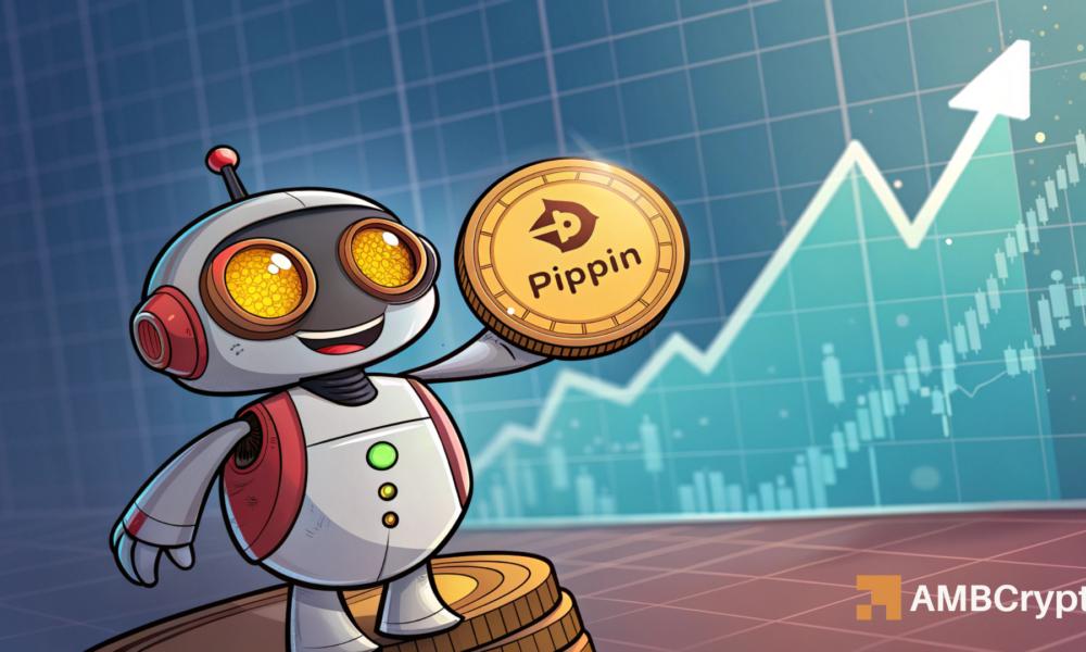 PIPPIN [飙升] 25%，但持有者下跌：反弹即将结束吗