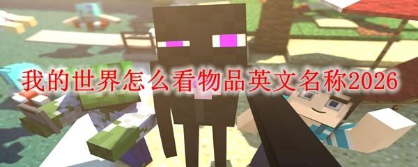 我的世界怎么看物品英文名称2026