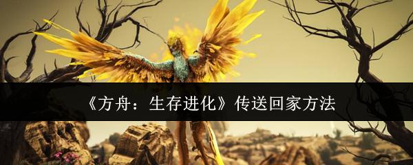 方舟：生存进化 传送回家方法