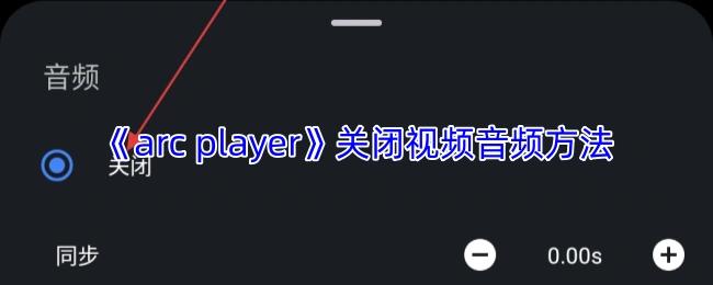 arc player 关闭视频音频方法