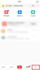 小红书订单在哪里查看